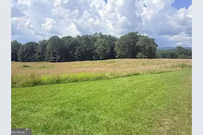 Lt 6 Spring Camp Road, Ellijay, GA 30536 - Photo 7