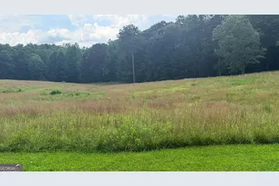 Lt 6 Spring Camp Road, Ellijay, GA 30536 - Photo 3