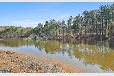 395 W McIntosh Road, Brooks, GA 30205 - Photo 65