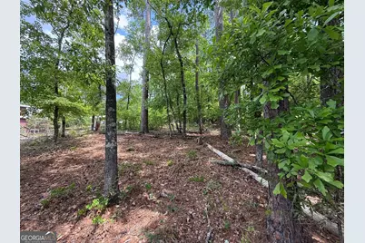 0 Hickory Pass, Sparta, GA 31087 - Photo 5