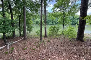0 Hickory Pass, Sparta, GA 31087 - Photo 1