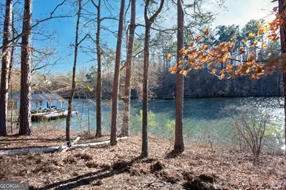 0 Hickory Pass, Sparta, GA 31087 - Photo 11