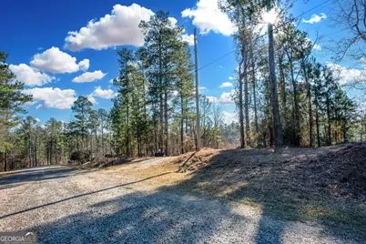 0 Hickory Pass, Sparta, GA 31087 - Photo 31