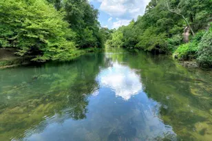 577 Blackberry, Mineral Bluff, GA 30559 - Photo 59