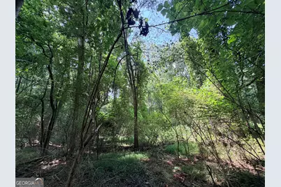 1150 Dogwood Road N, Woodville, GA 30669 - Photo 9