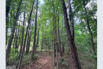 1150 Dogwood Road N, Woodville, GA 30669 - Photo 11