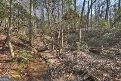 811 Magnums Trail, Blue Ridge, GA 30513 - Photo 19