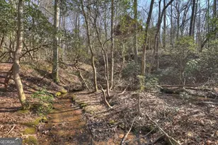 811 Magnums Trail, Blue Ridge, GA 30513 - Photo 19