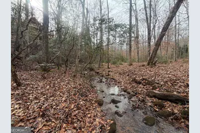 811 Magnums Trail, Blue Ridge, GA 30513 - Photo 57