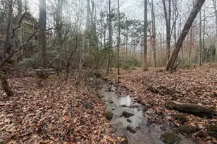811 Magnums Trail, Blue Ridge, GA 30513 - Photo 57