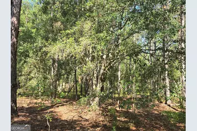 0 Live Oak Drive, Swainsboro, GA 30401 - Photo 7