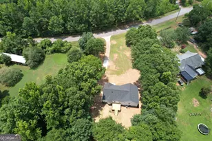 100 N Rover Rd, Williamson, GA 30292 - Photo 39