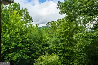 51 Hightower Trail, Hiawassee, GA 30546 - Photo 61