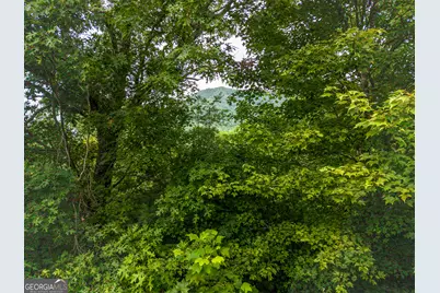 51 Hightower Trail, Hiawassee, GA 30546 - Photo 11