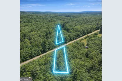 2.04 Acres Holmestown Loop Road, Midway, GA 31320 - Photo 5