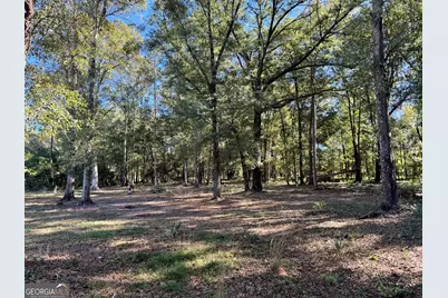 443 Fire Station Road, Vienna, GA 31092 - Photo 3