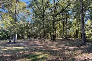 443 Fire Station Rd, Vienna, GA 31092 - Photo 3