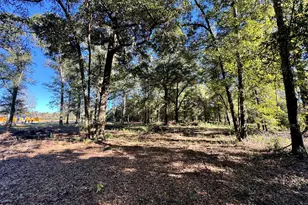 443 Fire Station Rd, Vienna, GA 31092 - Photo 35
