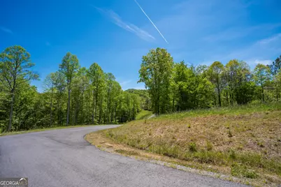 Lot 4-4A Jonica Gap Road, Mineral Bluff, GA 30559 - Photo 1