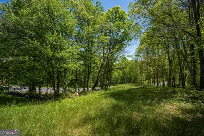 Lot 4-4A Jonica Gap Road, Mineral Bluff, GA 30559 - Photo 5