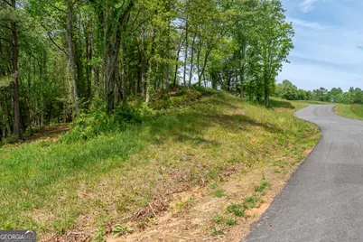 Lot 5-5A Jonica Gap Road, Mineral Bluff, GA 30559 - Photo 7