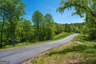 Lot 5-5A Jonica Gap Rd, Mineral Bluff, GA 30559 - Photo 1