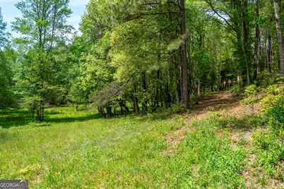 Lot 5-5A Jonica Gap Road, Mineral Bluff, GA 30559 - Photo 13