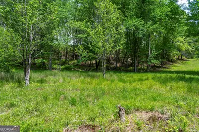 Lot 5-5A Jonica Gap Road, Mineral Bluff, GA 30559 - Photo 5