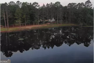 1525 Telfair Line Road, Rhine, GA 31077 - Photo 59