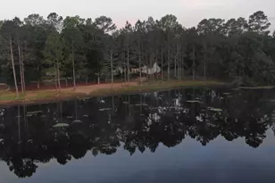 1525 Telfair Line Rd, Rhine, GA 31077 - Photo 59