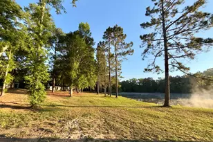 1525 Telfair Line Rd, Rhine, GA 31077 - Photo 43