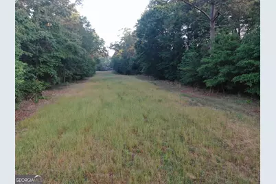 1525 Telfair Line Road, Rhine, GA 31077 - Photo 71