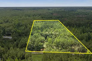 661 Hugh O Neal Rd, Greenville, GA 30222 - Photo 1