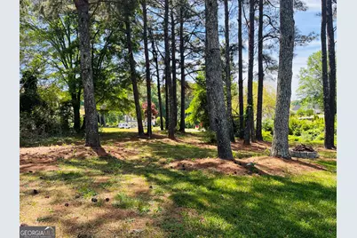 74 Morning Dove Lane, Newnan, GA 30265 - Photo 45
