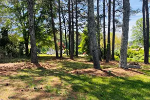 74 Morning Dove Ln, Newnan, GA 30265 - Photo 45