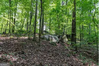 557 Faust Farm Road, Crawford, GA 30630 - Photo 11