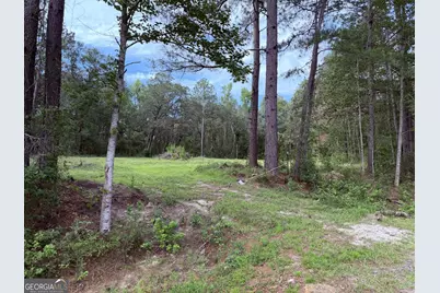 3980 Mosely Road Road, Claxton, GA 30417 - Photo 5