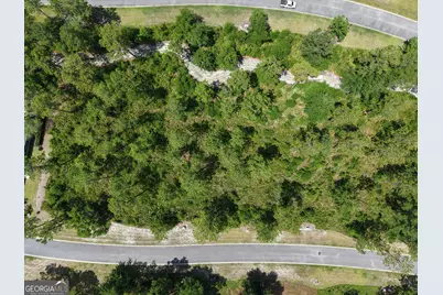 Lot 14 Blue Heron Trail, Waverly, GA 31565 - Photo 7