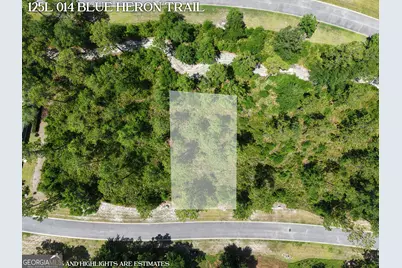 Lot 14 Blue Heron Trail, Waverly, GA 31565 - Photo 1