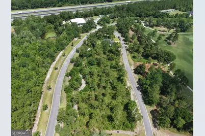Lot 14 Blue Heron Trail, Waverly, GA 31565 - Photo 11