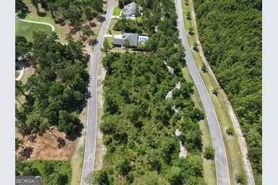 Lot 14 Blue Heron Trail, Waverly, GA 31565 - Photo 9