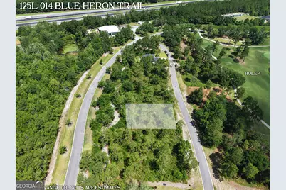 Lot 14 Blue Heron Trail, Waverly, GA 31565 - Photo 5