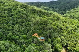 118 Cub Ln, Rabun Gap, GA 30568 - Photo 41
