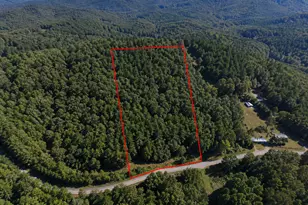 0 Kelly Mtn Rd, Clarkesville, GA 30523 - Photo 1
