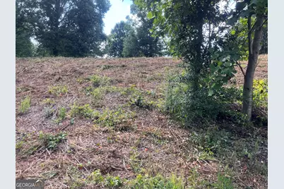 373 Stonington Drive, Mount Airy, GA 30563 - Photo 3