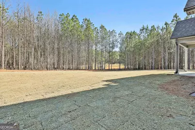 837 Alex Stephens Road #LOT 2, Moreland, GA 30259 - Photo 47