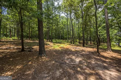 409 Madison Lane, Forsyth, GA 31029 - Photo 29