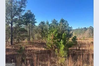 0 N Indian Trail Road, Sandersville, GA 31082 - Photo 15