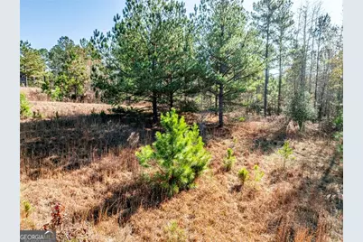 0 N Indian Trail Road, Sandersville, GA 31082 - Photo 19