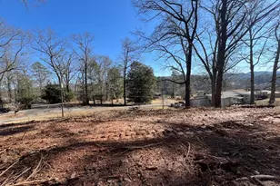 59 Bradley St, Blue Ridge, GA 30513 - Photo 1